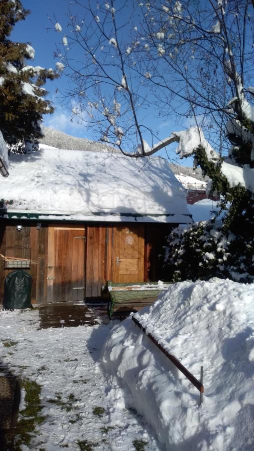 Chalet Dorfer Villa Sankt Lorenzen ob Murau Ngoại thất bức ảnh